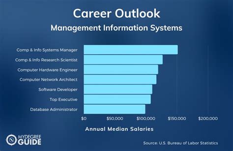 What Is Fsu Management Info Systems? Career Guide