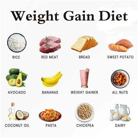 What Is High Calorie Protein Diet? Gain Weight Fast