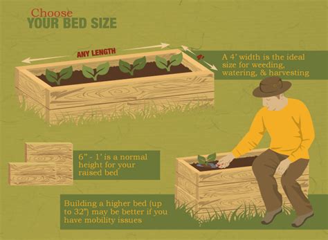 What Is Ideal Raised Garden Bed Width? Perfect Size Guide