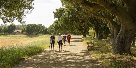 What Is Lake Lagunita Stanford? Explore Campus