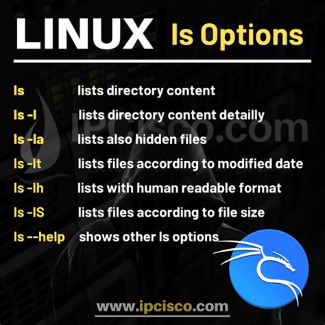 What Is Ls On Cmd? Master File Listing