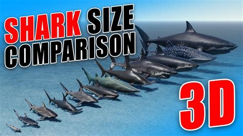 What Is Megalodon Weight? Fisch Size Revealed