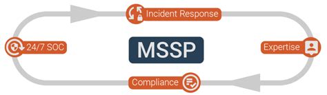 What Is Mssp