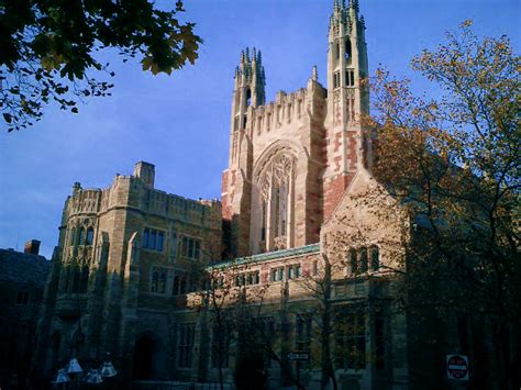 What Is Phd Law At Yale? Expert Admission Tips