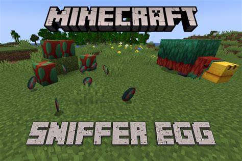 What Is Sniffer Egg Location? Easy Detection Guide