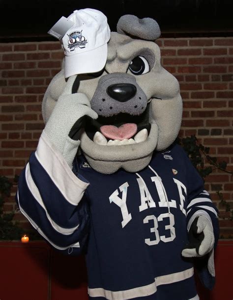 What Is The Mascot Of Yale University