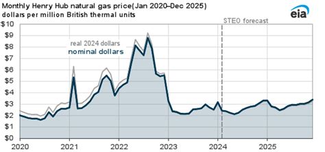 What Is The Outlook For The Natural Gas Spot Price In 2024 And 2025