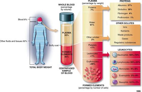 What Is The Volume Of 1 Unit Of Blood