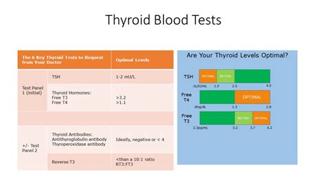 What Is Tsh With Reflex To Ft4? Accurate Test Results