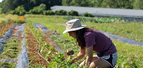 What Is Ugarden Student Farm? Grow Your Skills