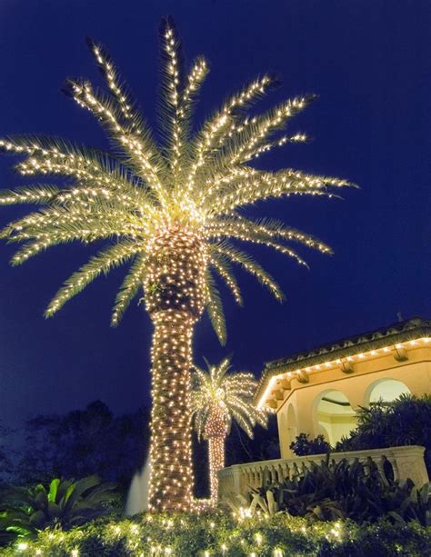 What Is Xmas Palm Tree? Decorating Tips