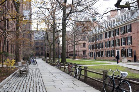 What Is Yale Of Yale University? Expert Answers