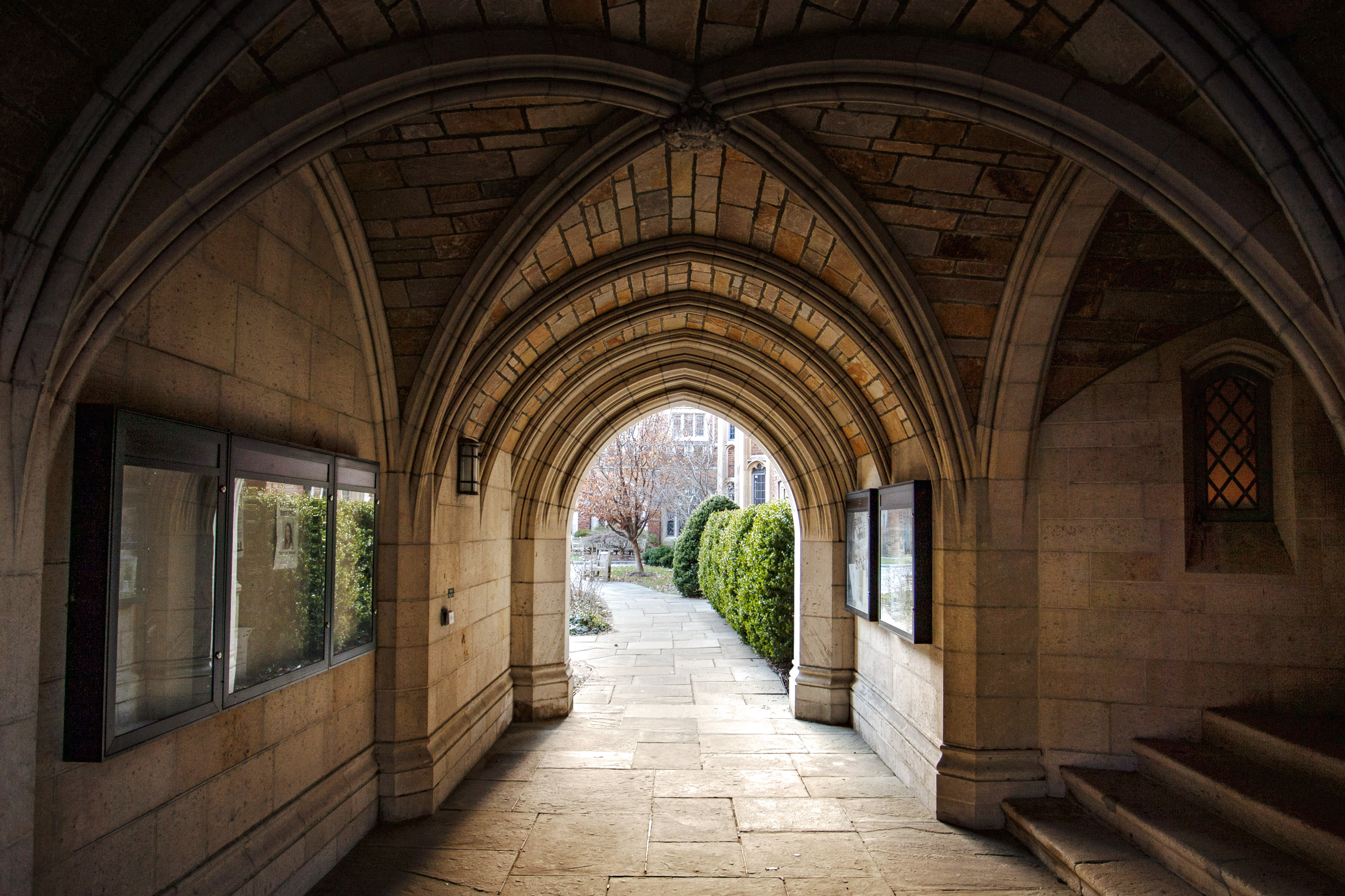 What Is Yale On Campus Interview? Ace Your Session