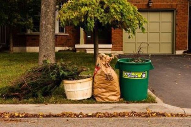 What Is Yard Waste Collection Toronto? Your Guide