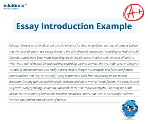 What Makes Great Vivid Essay Intros? Expert Tips