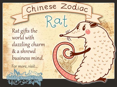 What Makes Rat Chinese Zodiac So Lucky? Success Secrets