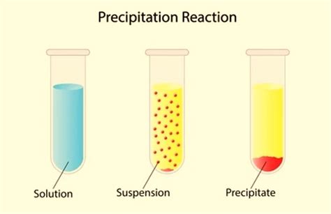 What Precipitates Phospholipids? Effective Reagents