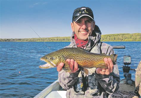 What's Alberta Trout Stocking? Fishing Guide