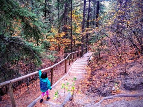 What's Douglas Fir Trail Calgary? Easy Hike Guide