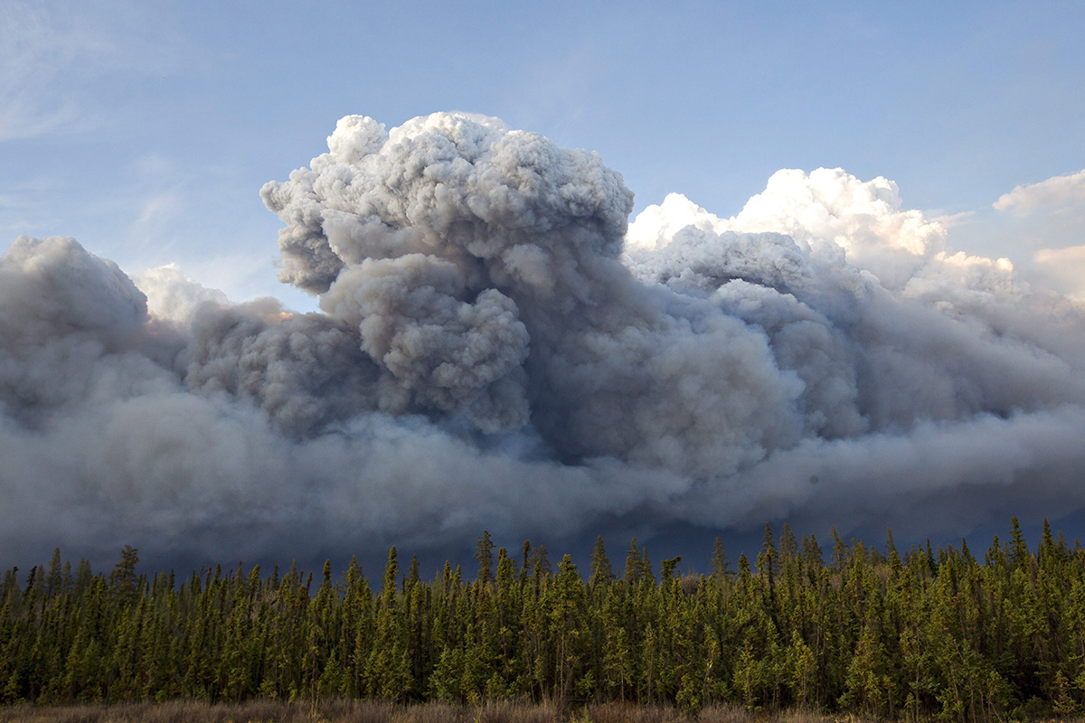 What's Fort Mcmurray Wildfire Update? Latest News