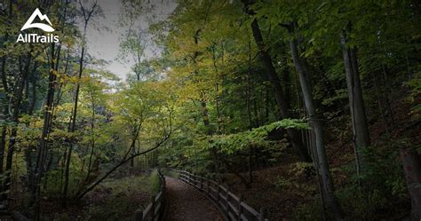 What's In Serena Gundy Park Toronto? Explore Trails