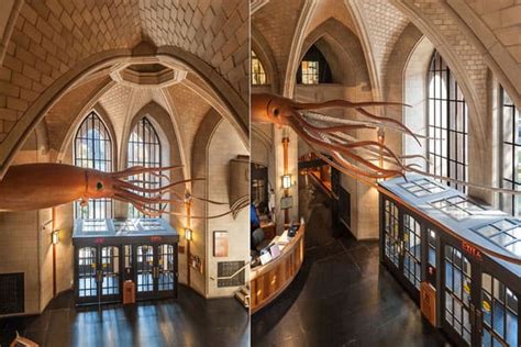 What's Inside Yale Museum Of Natural History? Explore Exhibits