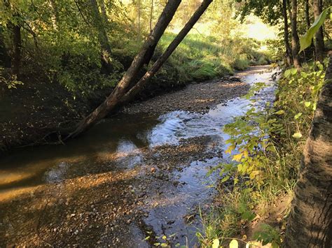 What's Mill Creek Ravine Edmonton? Hiking Guide