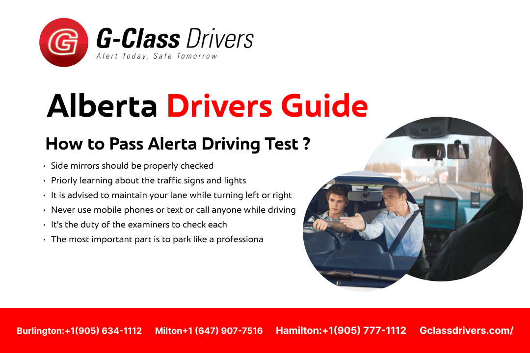 What's On Alberta Drivers License Test? Pass Guaranteed