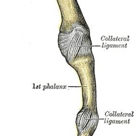 When Does A Fractured Finger Heal? Timeline And Solutions