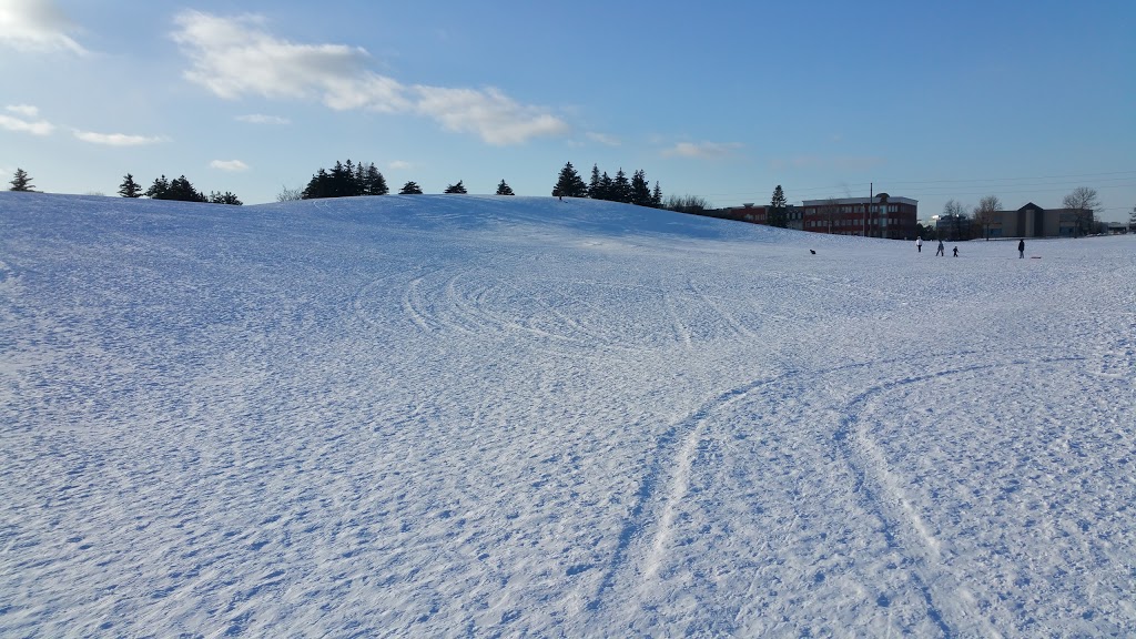 When Is Centennial Park Tobogganing Hill Open? Hours Guide