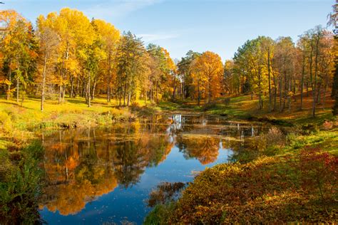 When Is Fall Foliage In Florida? Best Viewing Guide