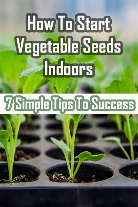 When It Comes To Advice On How To Start Vegetable Seeds Indoors There