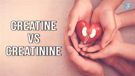 When To Take Creatine Vs Creatinine? Expert Advice