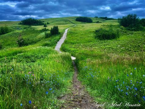 When To Visit Calgary Nose Hill Park? Best Times