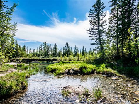 When To Visit Griffith Woods Park Calgary? Best Times