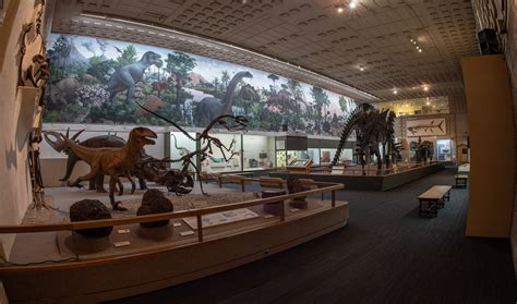 When To Visit Yale Natural History Museum? Plan Your Trip