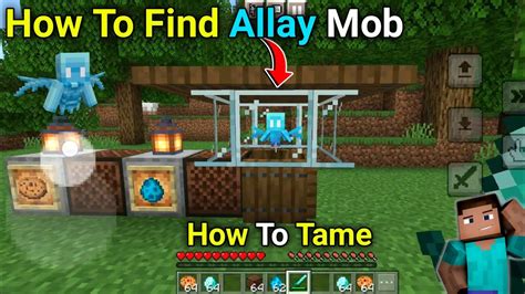 Where To Find Allay In Minecraft How To Use Them