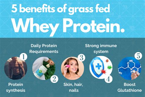 Whey Protein Benefits Unlocked: Max Results