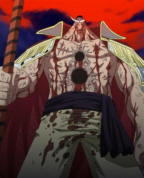 Whitebeard Dies: Find Out What Happens