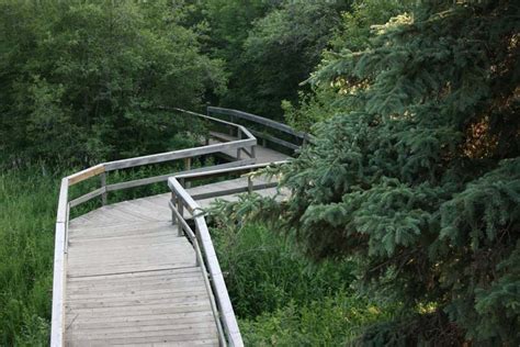 Whitemud Park South Trail Trailrag