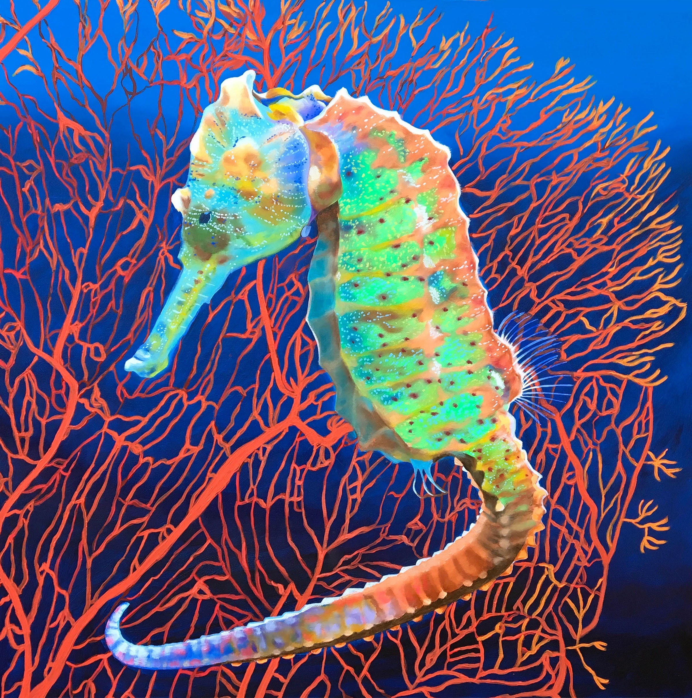 Why Do Seahorse Change Colors