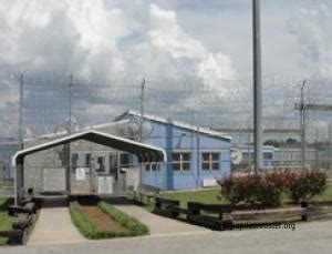 Wilcox Prison Overview: Inmate Info Guide