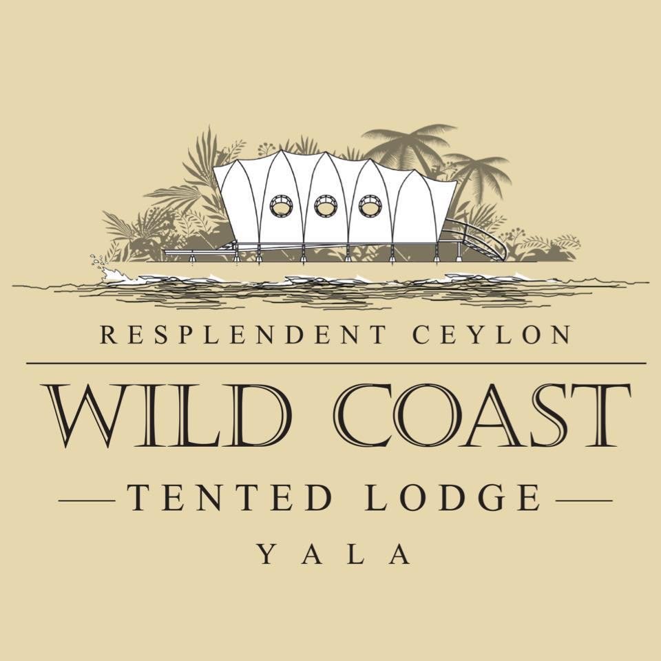 Wild Coast Lodge Yala: Expert Guide Inside