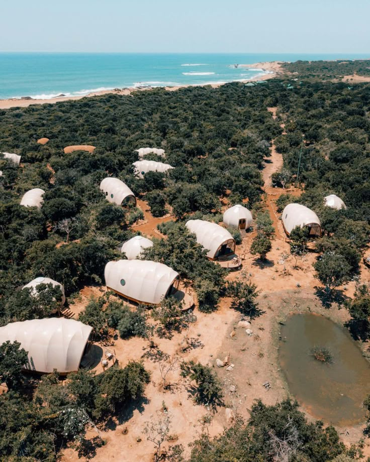 Wild Coast Tented Lodge Glamping In Yala National Park