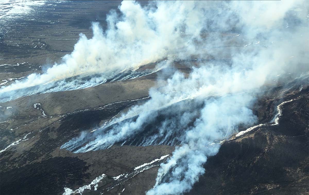 Wildfire In Alberta Burns More Than 100 000 Acres Wildfire Today