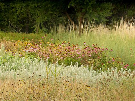 Wildflower Centre: Discover Creative Workshops