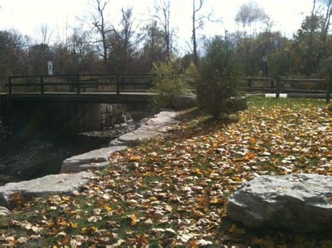 Wilket Creek Guide: Nature & Recreation Inside