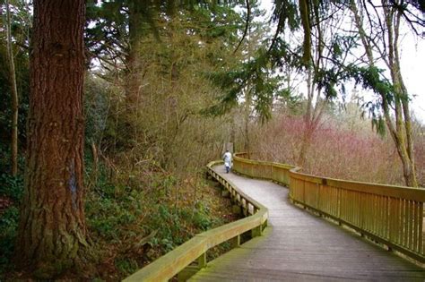 Willow Creek Waterhouse Trail Hike Hiking In Portland Oregon And