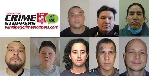 Winnipeg Most Wanted