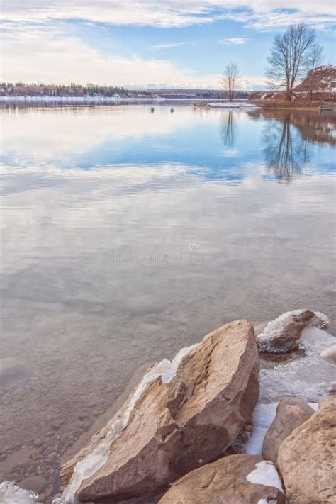 Winter On The Glenmore Reservoir Stock Photo Image Of Wood Season